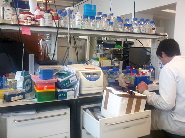 Lab at Manchester Interdisciplinary Biocentre